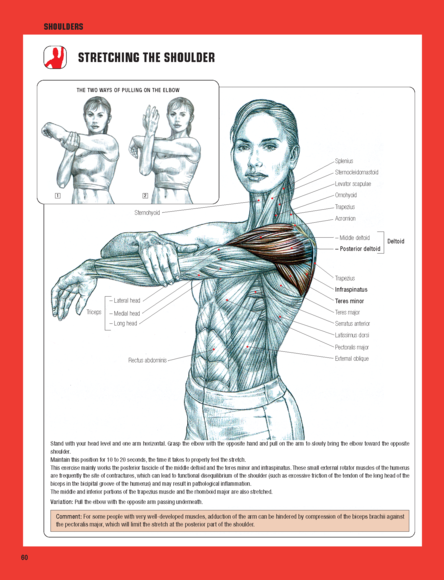 strength training anatomy 3rd edition